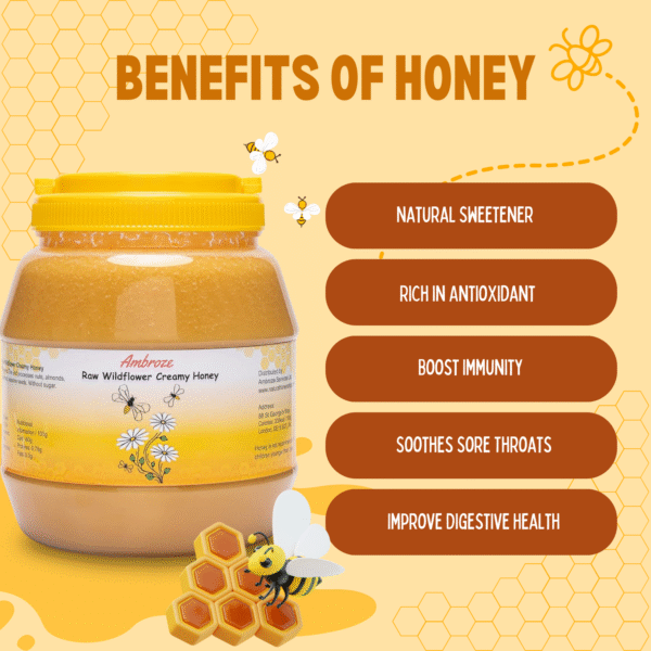 Organic Raw Natural Wildflower Creamy Honey 3kg - Image 9