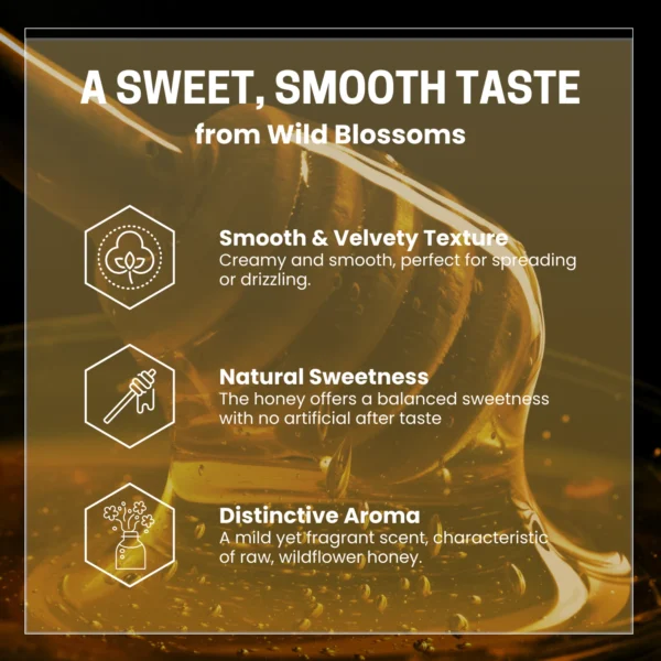 Natural Pure Honey 3kg – Raw, Unfiltered Honey | Cold Extracted on a Small Farm - Image 6